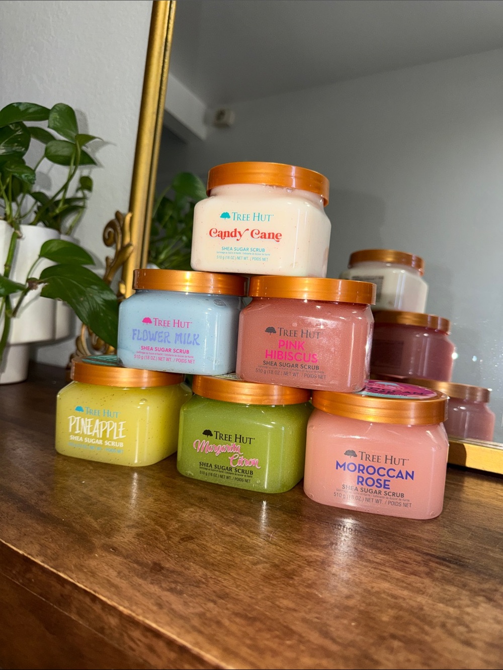 Tree hut Shea Sugar Scrub mix bundle of 6